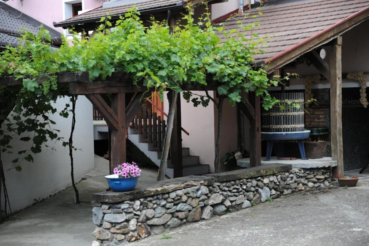 Wellness B&B Winery Sontacchi Kutjevo Luaran gambar
