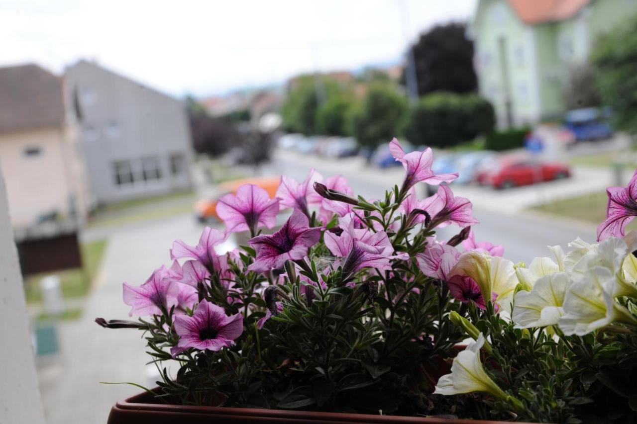 Wellness B&B Winery Sontacchi Kutjevo Luaran gambar